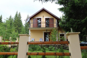  Rooms and Apartment Palas  Жабляк